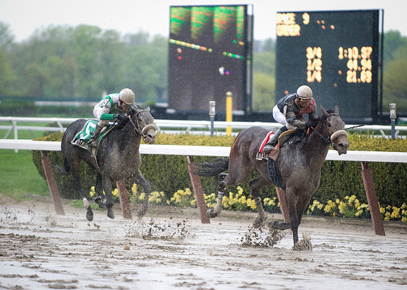 Racing in the Rain